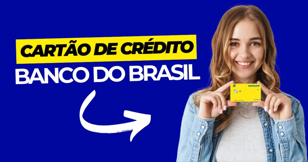 O Banco do Brasil, em parceria com o Ministério do Empreendedorismo, Microempresa e Pequenas Empresas (Memp), lançou o cartão MEI exclusivo para MEI (microempreendedores individuais).