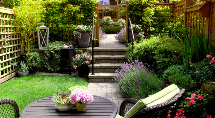Gardening Tips
